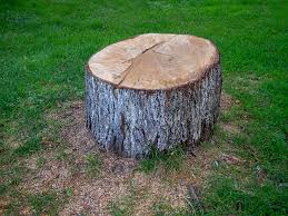Best Tree Mulching  in Mansfield, PA